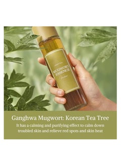 I'M FROM [I'm From] Miniatures of Rice Toner, Mugwort Essence, Fig Boosting Essence (Mugwort)  - Image 4