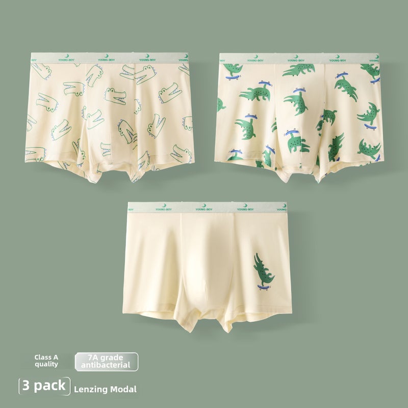 Youth Modal Antibacterial Boxer Briefs 12+ Crocodile Skateboard MDEPJ733 