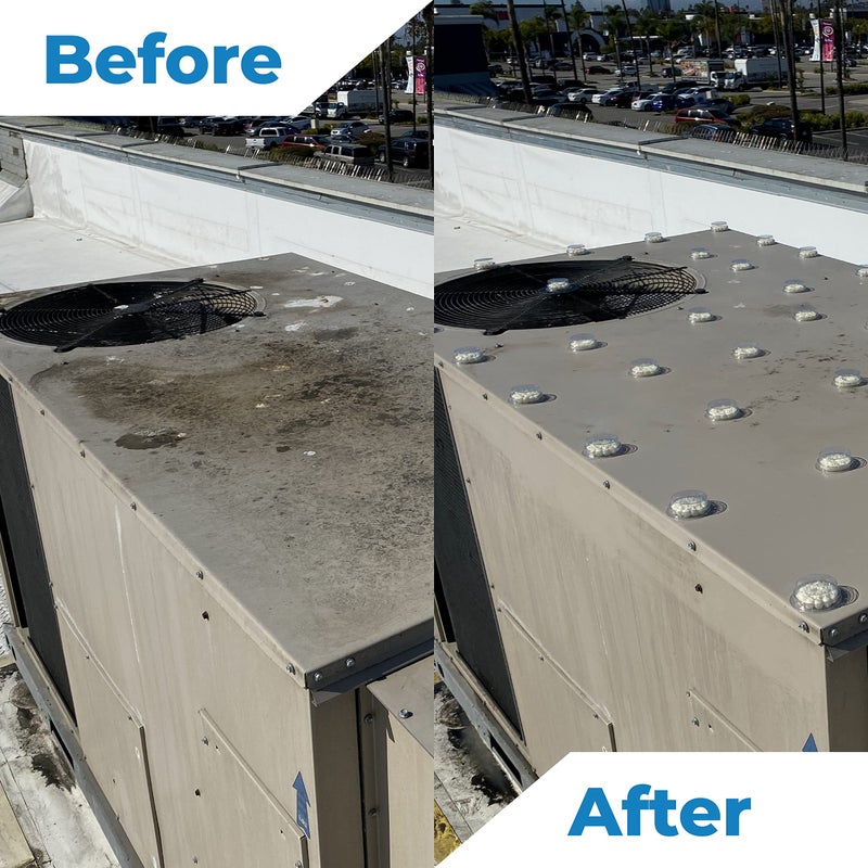 Bird Barrier Dissolve-It Enzyme Cleaner - Bird Dropping - Dissolves Waste â€“ Treat Affected Areas Before Installing Bird Control Products - 1 Gallon Makes 2 Gallons - Image 5