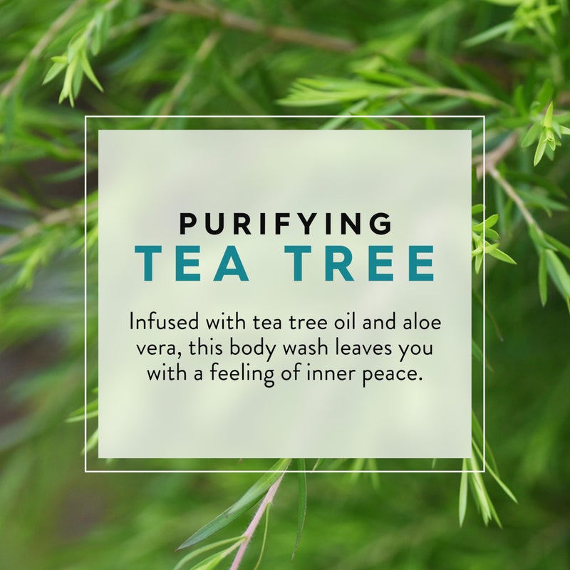JASON Tea Tree Purifying Body Wash, For a Gentle Feeling Clean, 30 Fluid Ounces - Image 3