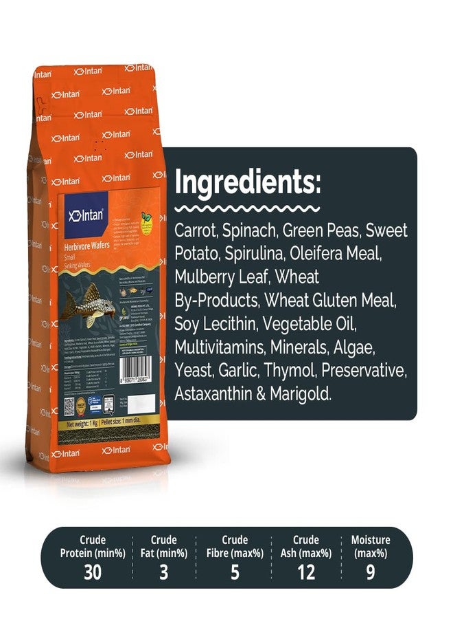 Intan Herbivore Wafers (Small 1mm Sinking) | 1Kg - Highly Nutritious Ornamental Fish Food for Herbivorous Fish - Mollies, Mbunas & Plecos | Growel Feeds - Image 3