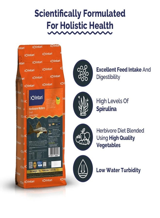 Intan Herbivore Wafers (Small 1mm Sinking) | 1Kg - Highly Nutritious Ornamental Fish Food for Herbivorous Fish - Mollies, Mbunas & Plecos | Growel Feeds - Image 4
