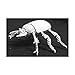 Reaper Miniatures Giant Scarab Beetle - Image 2