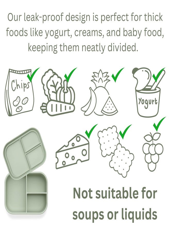 Ali+Oli Silicone Bento Box (Pine) Lunch Box for Kids, Toddlers, Preschoolers & Adults | BPA-Free and Spill-Proof | Ideal for School, and On-the-Go Meals| Perfect for Lunch, Snacks, and Meals - Image 3