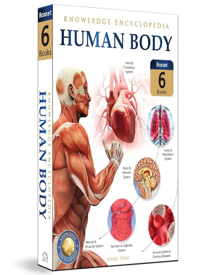 Human Body Box Set: Knowledge Encyclopedia For Children - Image 2
