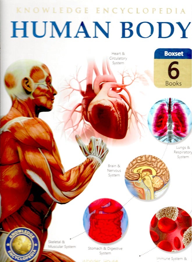 Human Body Box Set: Knowledge Encyclopedia For Children - Image 1
