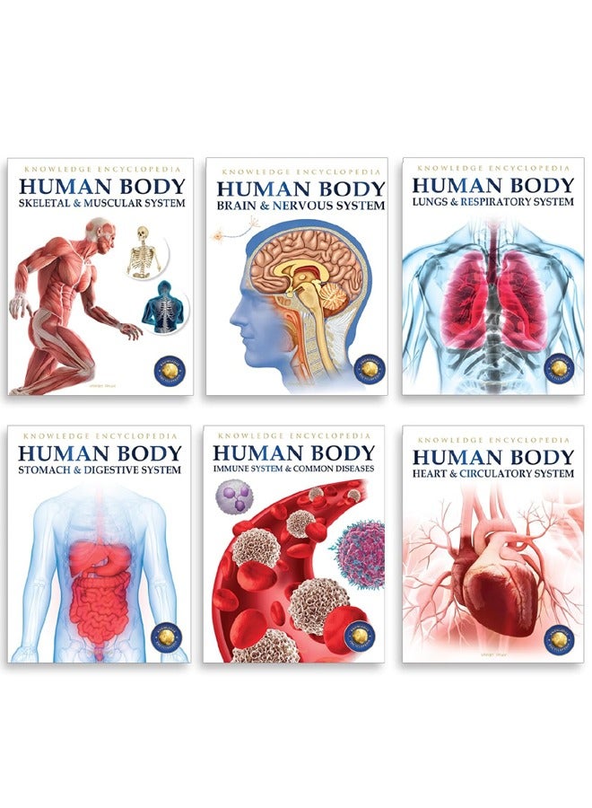 Human Body Box Set: Knowledge Encyclopedia For Children - Image 3