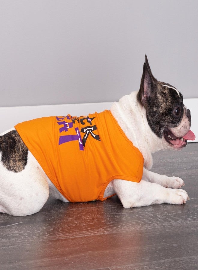 فيت وورم تيشيرت Fitwarm للكلاب بتصميم "خدعة أم حلوى" للهالوين، أزياء مرحة للكلاب الصغيرة (ذكور وإناث)، ملابس للحيوانات الأليفة، أسود، برتقالي، متوسط - Image 2