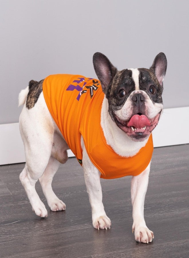 فيت وورم تيشيرت Fitwarm للكلاب بتصميم "خدعة أم حلوى" للهالوين، أزياء مرحة للكلاب الصغيرة (ذكور وإناث)، ملابس للحيوانات الأليفة، أسود، برتقالي، متوسط - Image 3