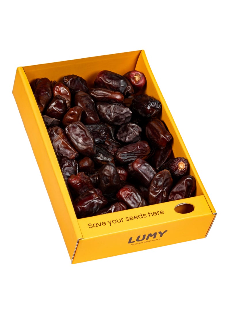 Lumy Dates Khidri Dates 800g - Image 4