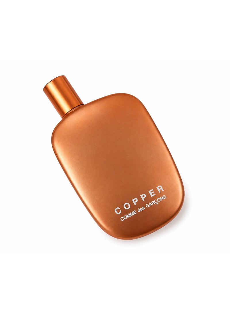 COMME DES GARCONS Copper by Comme des Garcons Eau De Parfum 100ml - Image 2