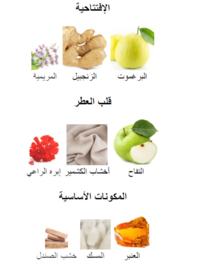 الرحاب عطر شوكو مسك بيستاتشو 50 مل - Image 3