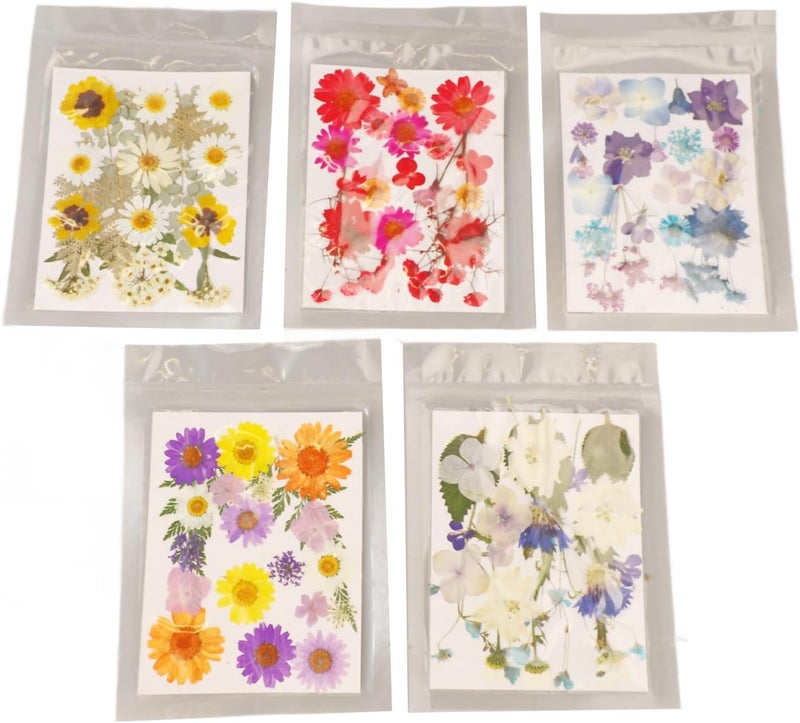 Imitation Dried Flowers 5 Bags Assorted Styles Vibrant Colors For Resin DIY Bookmark Candle Art Crafts - Image 1