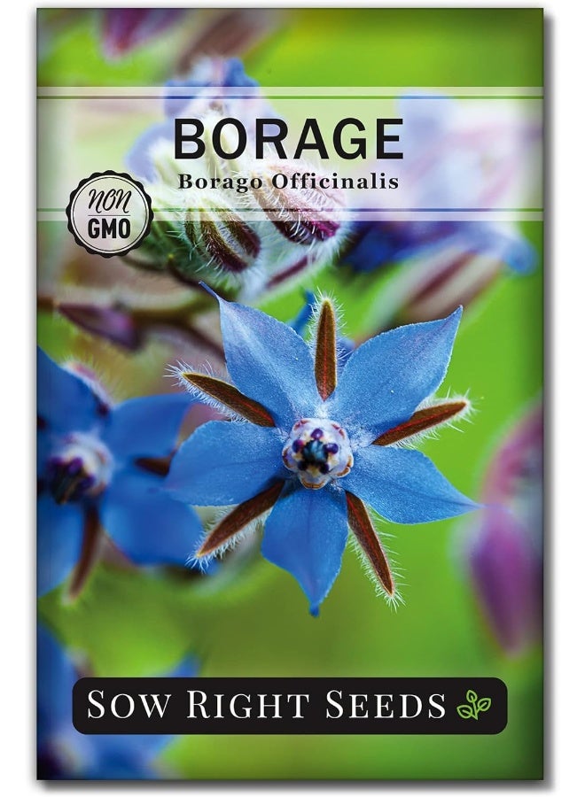Generic Sow Right Seeds  - Large Herbal Tea Garden Seed Collection - Lemon Balm, Mint, German Chamomile, Lavender, Echinacea, Holy Basil, Calendula, Borage, Hyssop, Peppermint Non-Gmo Heirloom Seeds  - Image 1