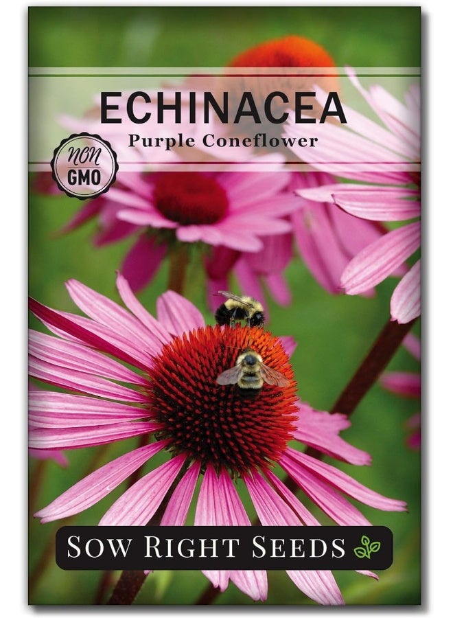Generic Sow Right Seeds  - Large Herbal Tea Garden Seed Collection - Lemon Balm, Mint, German Chamomile, Lavender, Echinacea, Holy Basil, Calendula, Borage, Hyssop, Peppermint Non-Gmo Heirloom Seeds  - Image 4