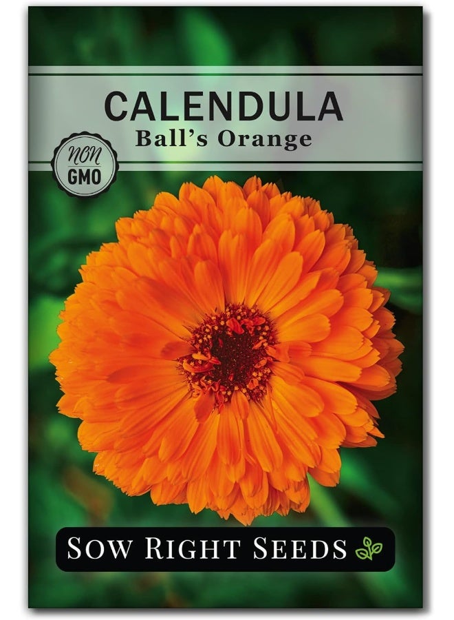 Generic Sow Right Seeds  - Large Herbal Tea Garden Seed Collection - Lemon Balm, Mint, German Chamomile, Lavender, Echinacea, Holy Basil, Calendula, Borage, Hyssop, Peppermint Non-Gmo Heirloom Seeds  - Image 5