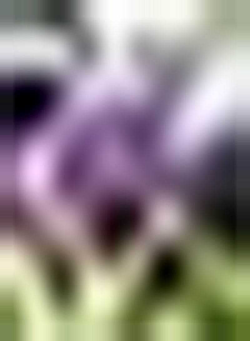 GGOOT 5pcs Mixed Color Allium Seeds Indoor Kitchen Outdoor Planting Gardening Experience Create Your Own Garden Attract Bees Butterflies - Image 3