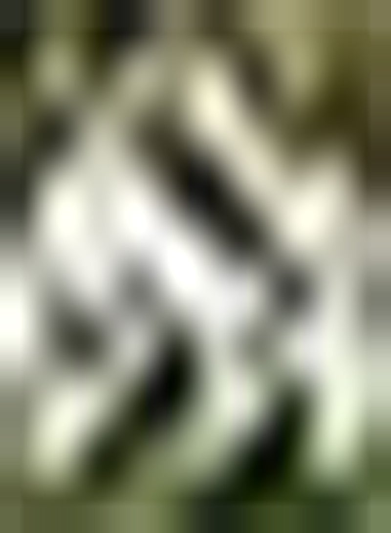 GGOOT 5pcs Mixed Color Allium Seeds Indoor Kitchen Outdoor Planting Gardening Experience Create Your Own Garden Attract Bees Butterflies - Image 5