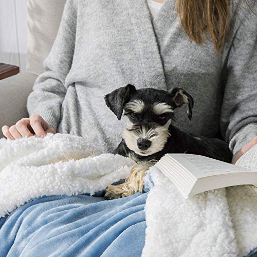 VAS COLLECTIONS Flannel Sherpa Baby Blanket | 2-Layer Soft & Fluffy AC Blanket | 250 GSM, 800 g Lightweight All-Season Wrapping Sheet for Newborns (Baby Aqua, 130 × 105 cm, 3–24 Months) - Image 5