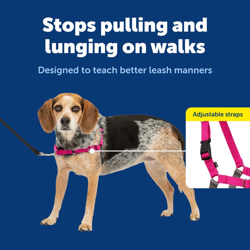 PetSafe Easy Walk Harness for Dogs - Pull-Free Walks - Martingale Loop Design - Front Chest Leash Attachment - Adjustable Comfort Straps - Breathable Harness Design - Small/Medium, Raspberry/Gray - Image 4