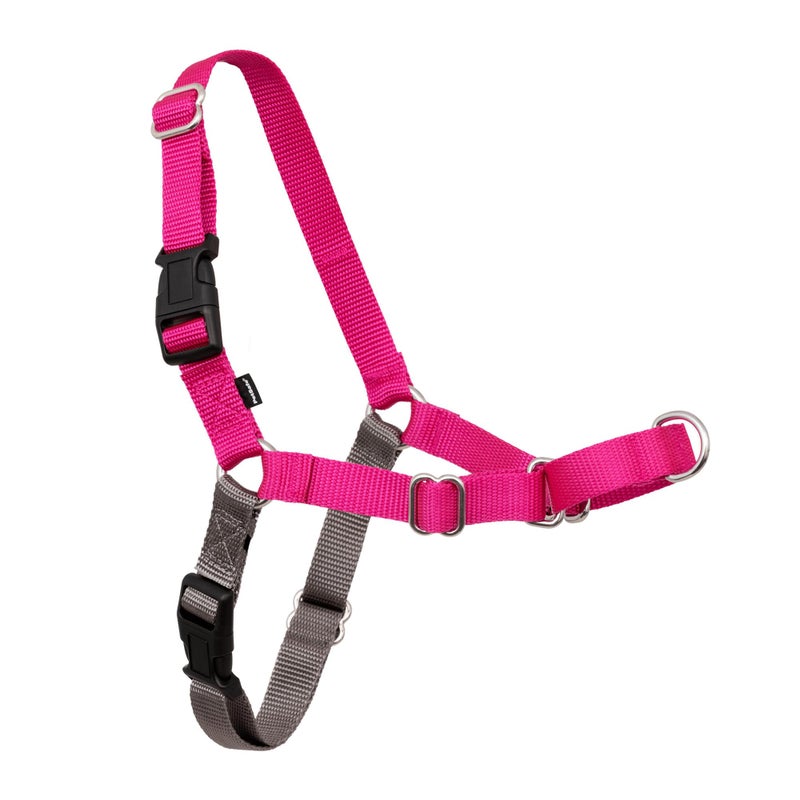 PetSafe Easy Walk Harness for Dogs - Pull-Free Walks - Martingale Loop Design - Front Chest Leash Attachment - Adjustable Comfort Straps - Breathable Harness Design - Small/Medium, Raspberry/Gray - Image 1