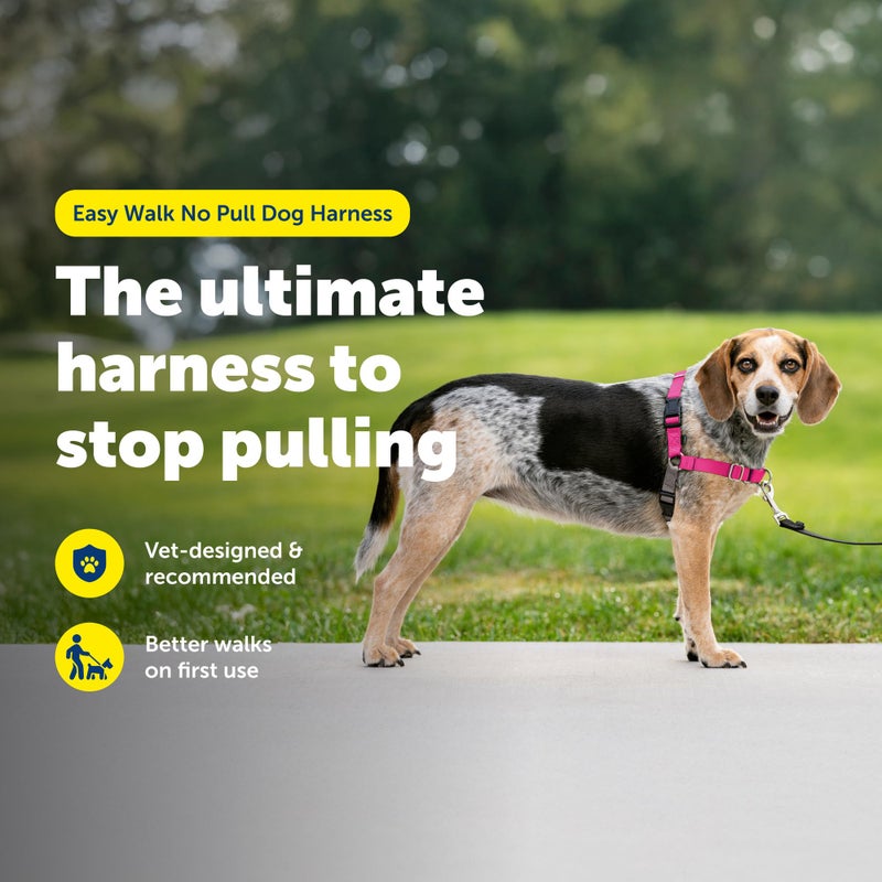 PetSafe Easy Walk Harness for Dogs - Pull-Free Walks - Martingale Loop Design - Front Chest Leash Attachment - Adjustable Comfort Straps - Breathable Harness Design - Small/Medium, Raspberry/Gray - Image 3