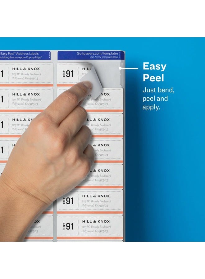 AVERY Avery Printable Address Labels for Laser Printers, 1" x 2-5/8", Matte Clear, 300 Blank Mailing Labels (15660) - Image 3