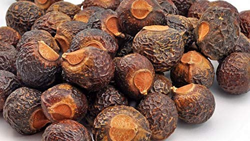 SAARA : Soapnut l Boondi Kottai l Kumkudukaya, 100 gm - Image 2