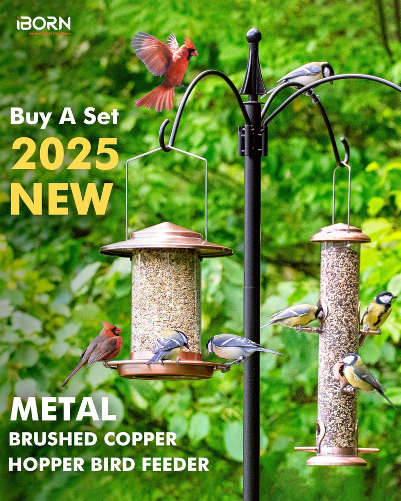 iBorn Bird Feeders for Outdoors Hanging,Metal Bird Feeders for Cardinal Chew Proof 18cm Large Roof&Tray Birdfeeders Outside Hanging,Brushed Copper 6 Port (Seed is not Included) - Image 5