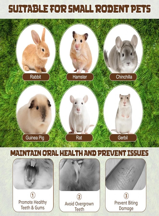 Novabright 33 PCS Rabbit Chew Treat Toys Set Natural Bunny Enrichment Toys for Teeth Health Indoor Outdoor for Rabbit Guinea Pig Chinchilla Hamster (Cute) - Image 4