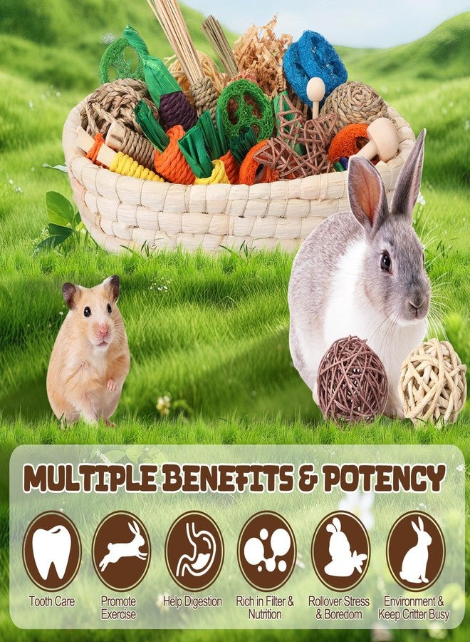 Novabright 33 PCS Rabbit Chew Treat Toys Set Natural Bunny Enrichment Toys for Teeth Health Indoor Outdoor for Rabbit Guinea Pig Chinchilla Hamster (Cute) - Image 3