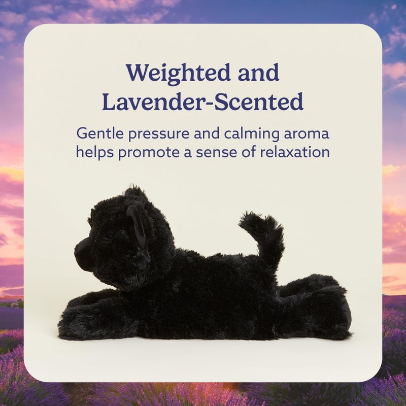 warmies Microwavable & Weighted Stuffed Animals, Black Cat - Heated Stuffed Animal Plushie for Warmth & Comfort - Cute Soft Plush Toys for Adults & Children (Boys, Girls, Babies & Toddlers) - Image 3
