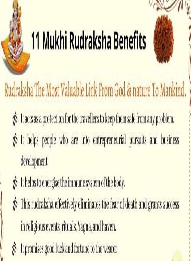 Trinetra Gems نيبالي 11 Mukhi Rudraksha مختبر أصلي معتمد A++ Gyarah Mukhi Rudraksha علم التنجيم خرز Rudraksha حقيقي ونادر أحد عشر وجه Rudraksha 11 मुकी रुप्राक्ष Ekadash Mukhi Rudraksh - Image 4