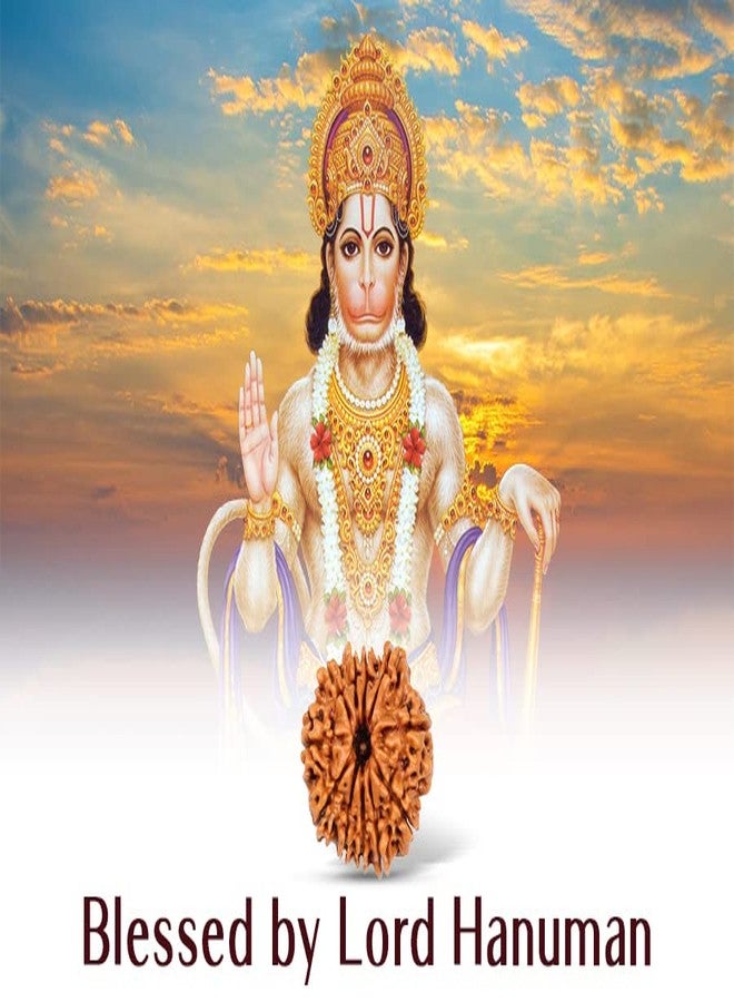 Trinetra Gems نيبالي 11 Mukhi Rudraksha مختبر أصلي معتمد A++ Gyarah Mukhi Rudraksha علم التنجيم خرز Rudraksha حقيقي ونادر أحد عشر وجه Rudraksha 11 मुकी रुप्राक्ष Ekadash Mukhi Rudraksh - Image 3