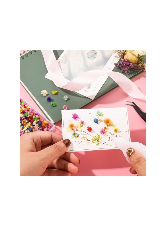 The Bros 600Pcs Dried Flowers for Resin Crafts, Natural Dried Pressed Flowers Bulk, Small Dried Flowers for DIY Jewelry Earrings Epoxy Mold, Candles Soap Making, Scrapbooking Garland Wreath Making - Multicolor - Image 3
