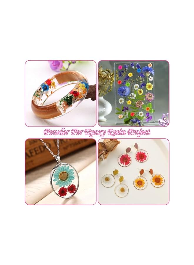 The Bros 600Pcs Dried Flowers for Resin Crafts, Natural Dried Pressed Flowers Bulk, Small Dried Flowers for DIY Jewelry Earrings Epoxy Mold, Candles Soap Making, Scrapbooking Garland Wreath Making - Multicolor - Image 2