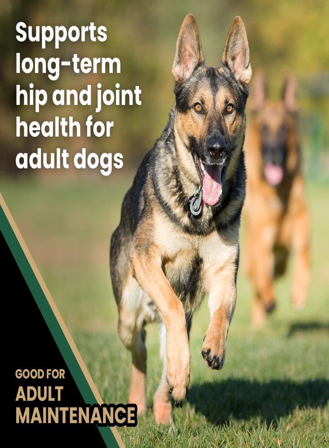 فيكتور طعام الكلاب الفاخر من فيكتور - طعام الكلاب الجاف "بربوس هيرو" - طعام فاخر خالٍ من الغلوتين للكلاب البالغة النشطة - غني بالبروتين مع الجلوكوزامين والكوندرويتين لصحة الورك والمفاصل، 5 أرطال - Image 5