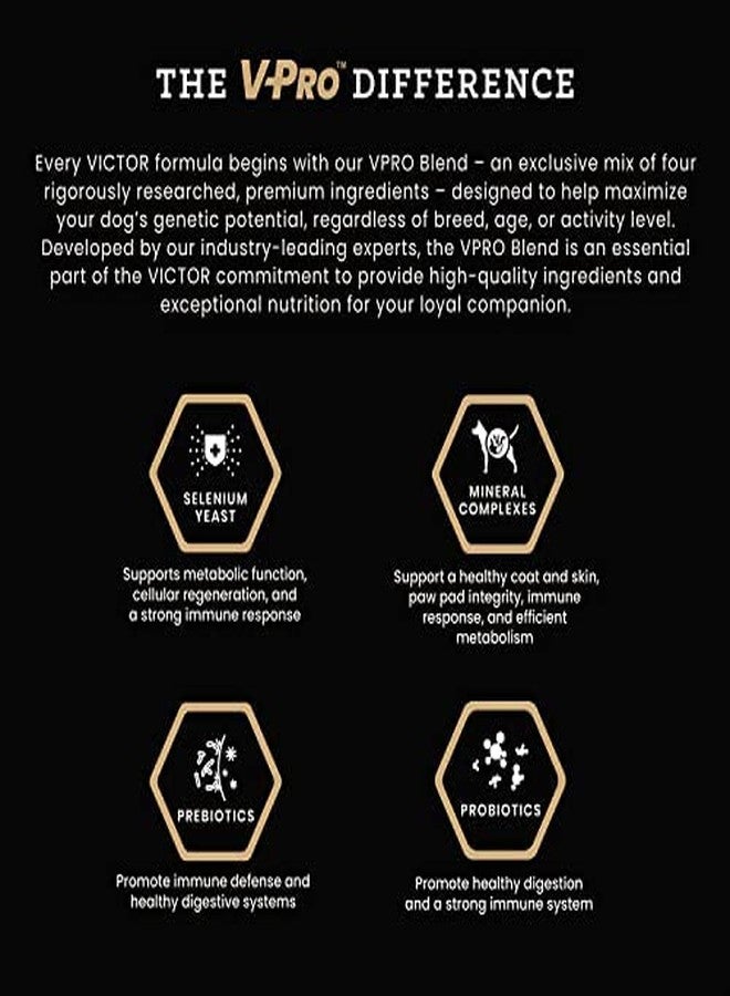 فيكتور طعام الكلاب الفاخر من فيكتور - طعام الكلاب الجاف "بربوس هيرو" - طعام فاخر خالٍ من الغلوتين للكلاب البالغة النشطة - غني بالبروتين مع الجلوكوزامين والكوندرويتين لصحة الورك والمفاصل، 5 أرطال - Image 4