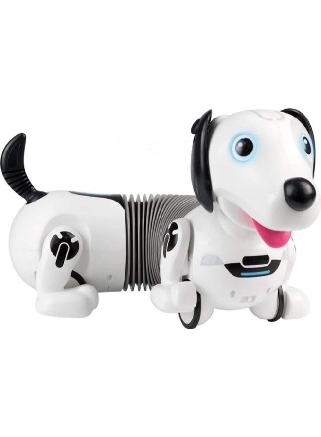 سيلفر ليت يوكو روبو داكل ر