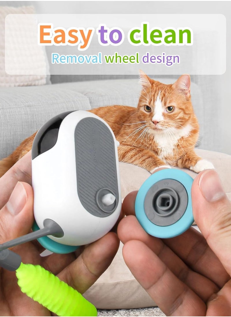 Blue Smart Interactive Cat Toy Car - Smart 360° Rotating Electric Pet Toy with Free Luxe Feather Attachments | Dual Modes (Remote/Automatic), USB Rechargeable, Durable Bite-Resistant Design for Indoor Cats & Kids Long-Lasting Playtime - pzsku/Z20EB6B5BF2083D2E5D15Z/45/_/1739621586/5c981e77-49aa-444b-a8e7-c9a5558b7336