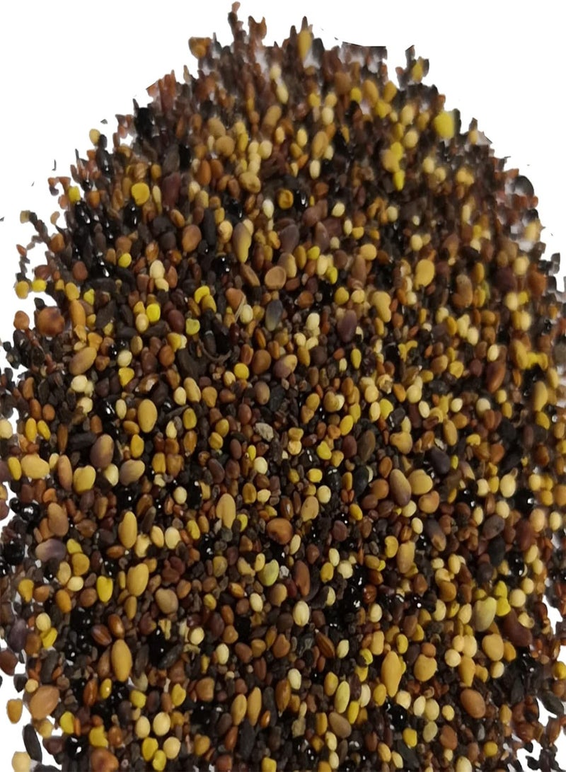 GGOOT Seed for Planting,100Pcs Mixed Rare Succulents Plant Seeds Garden Balcony Perennial Bonsai Decor-Succulent Seeds-100pcs - Image 3