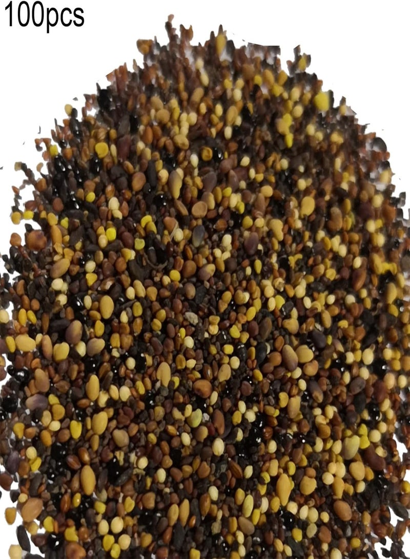 GGOOT Seed for Planting,100Pcs Mixed Rare Succulents Plant Seeds Garden Balcony Perennial Bonsai Decor-Succulent Seeds-100pcs - Image 2