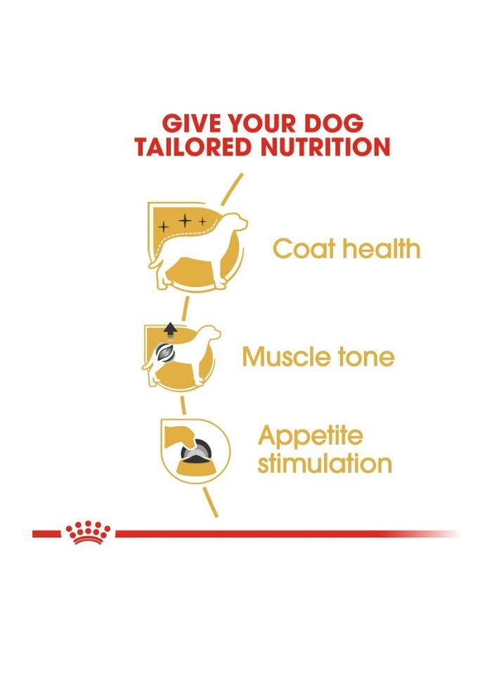 ROYAL CANIN Breed Health Nutrition Poodle Adult (WET FOOD - Pouches) 12 x 85g - Image 3