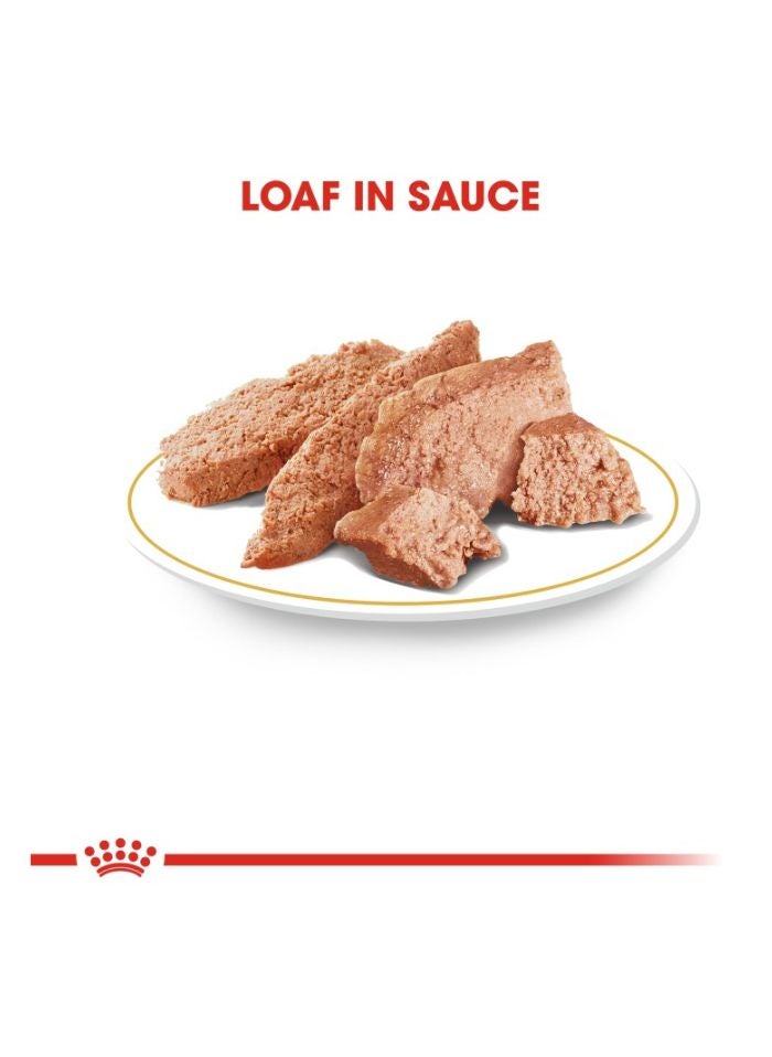 ROYAL CANIN Breed Health Nutrition Poodle Adult (WET FOOD - Pouches) 12 x 85g - Image 2