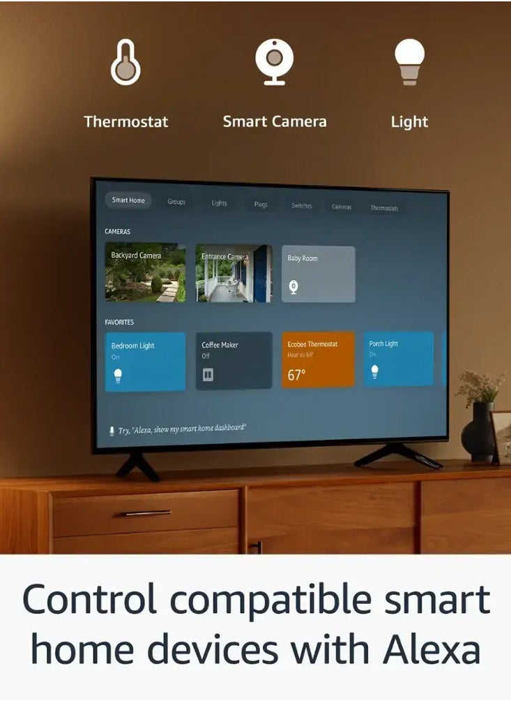 TV Fire Stick HD, free and live TV, Voice Remote, smart home controls, HD streaming - pzsku/Z20EEBDB807F03100E31CZ/45/_/1734601228/f782c7f5-f4e1-4457-b8d2-78c62a473e2a