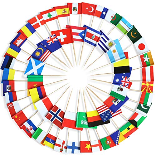 Anley Assorted 100 Different Countries Toothpick Flag - Vivid Double Sided Print & Solid Smooth Pick - Party Decoration Cocktail Fruit Stick Cupcakes Toppers(100 pcs) - Image 1