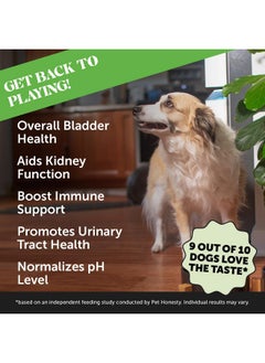 Pet Honesty Pet Honesty Bladder Health Cranberry Supplement for Dogs - Kidney Support for Dogs, Cranberry & D-Mannose to Help Support Dog Urinary Tract Health, Dog Urine & Bladder Support (Chicken)  - Image 2