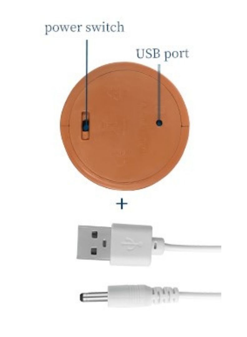 XiuWoo Dancing Duck Electronic Plush Toy Childhood Fun Toy 1 Piece Plush Dancing Singing Duck Home Holiday Decoration for Kids (USB) Charging "Arabic Songs" - Image 4