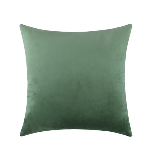 mixeoo Sage Green Velvet Throw Pillow Covers 24x24 Inch Set of 1 Super Soft Thick Decorative Square Cushion Cases for Living Room Sofa Couch Decor - Image 1