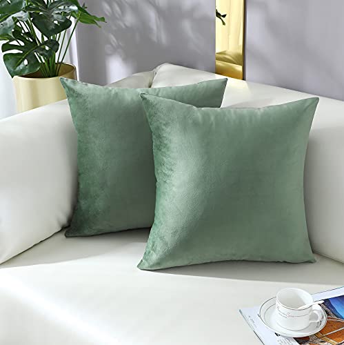 mixeoo Sage Green Velvet Throw Pillow Covers 24x24 Inch Set of 1 Super Soft Thick Decorative Square Cushion Cases for Living Room Sofa Couch Decor - Image 3